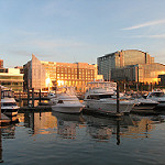 gaylord resort national harbor hotels