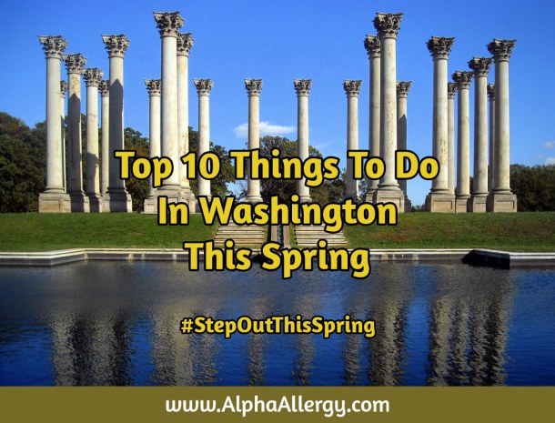 Things To Do In DC Springtime