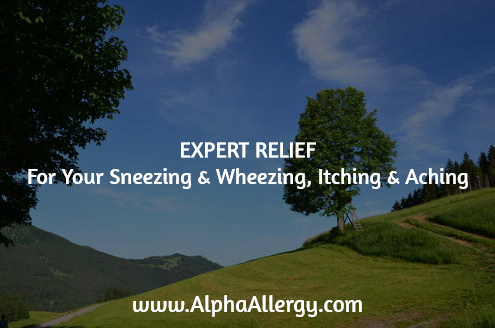 spring allergy relief