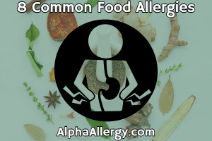 8 common food allergies graphic
